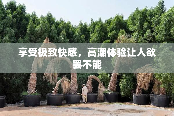 享受极致快感，高潮体验让人欲罢不能