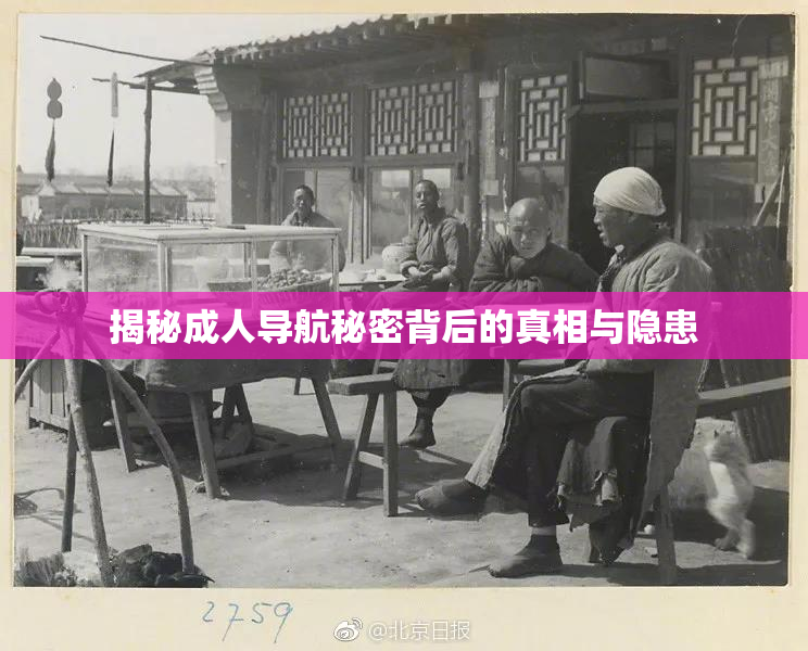 揭秘成人导航秘密背后的真相与隐患