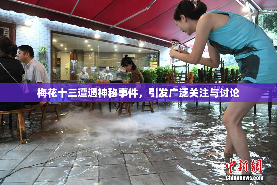 梅花十三遭遇神秘事件，引发广泛关注与讨论