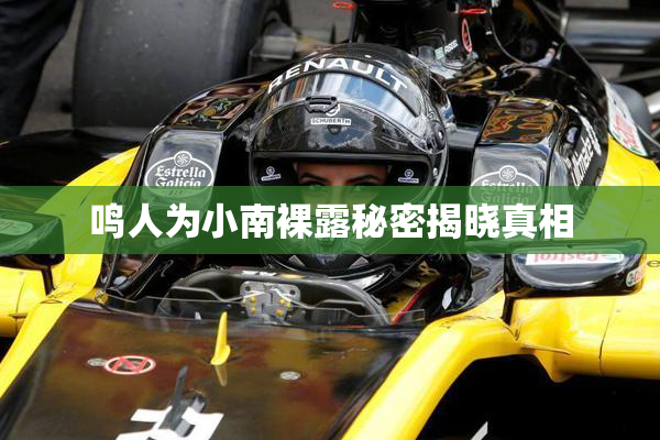 鸣人为小南裸露秘密揭晓真相