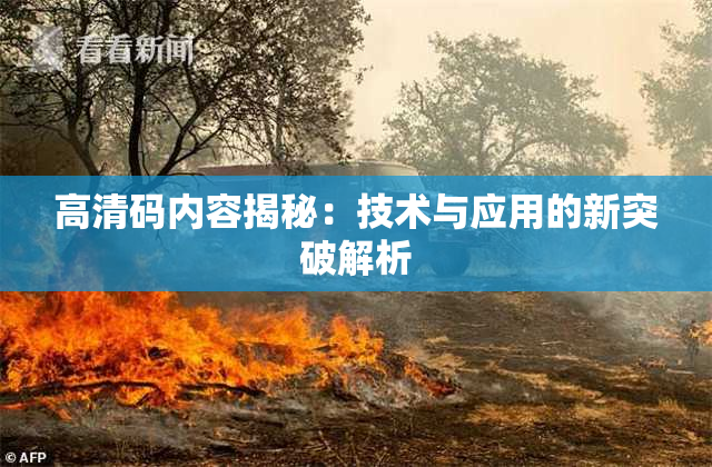 高清码内容揭秘：技术与应用的新突破解析