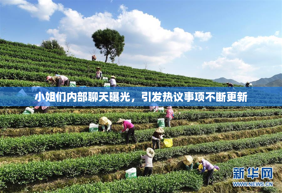 小姐们内部聊天曝光，引发热议事项不断更新