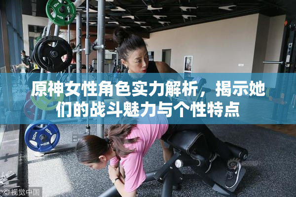 原神女性角色实力解析，揭示她们的战斗魅力与个性特点