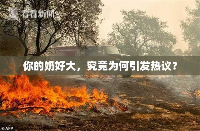 你的奶好大，究竟为何引发热议？