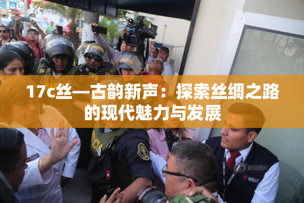 17c丝—古韵新声：探索丝绸之路的现代魅力与发展