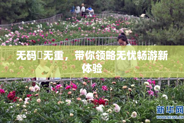 无码囯无重，带你领略无忧畅游新体验