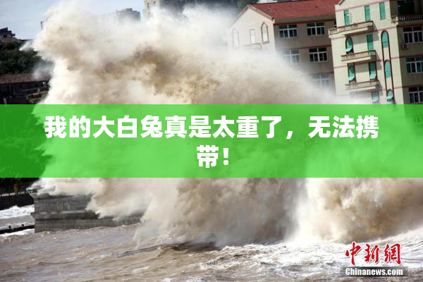 我的大白兔真是太重了，无法携带！