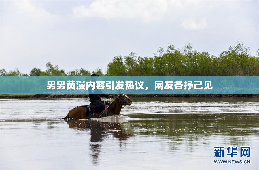 男男黄漫内容引发热议，网友各抒己见