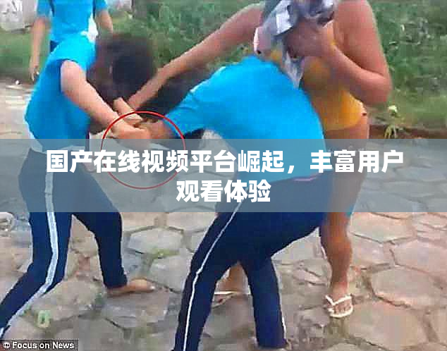 国产在线视频平台崛起，丰富用户观看体验