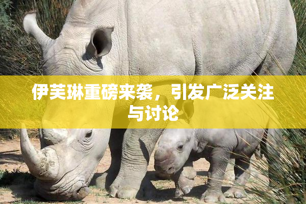 伊芙琳重磅来袭，引发广泛关注与讨论