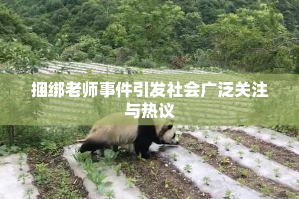 捆绑老师事件引发社会广泛关注与热议