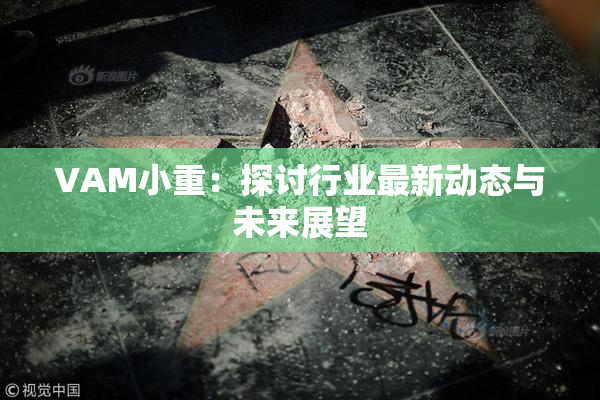VAM小重：探讨行业最新动态与未来展望
