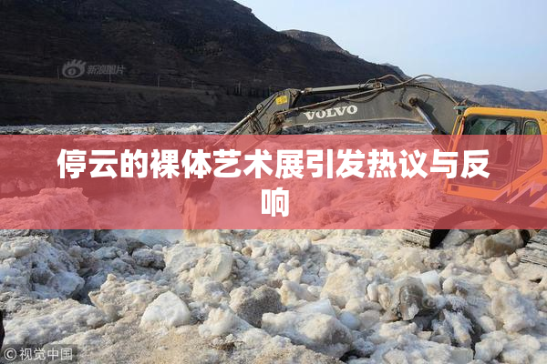 停云的裸体艺术展引发热议与反响