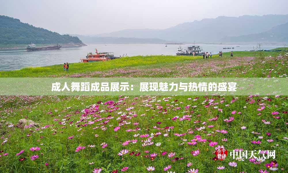 成人舞蹈成品展示：展现魅力与热情的盛宴