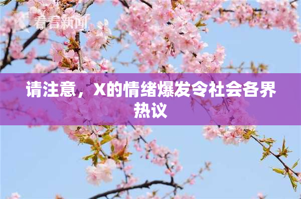 请注意，X的情绪爆发令社会各界热议