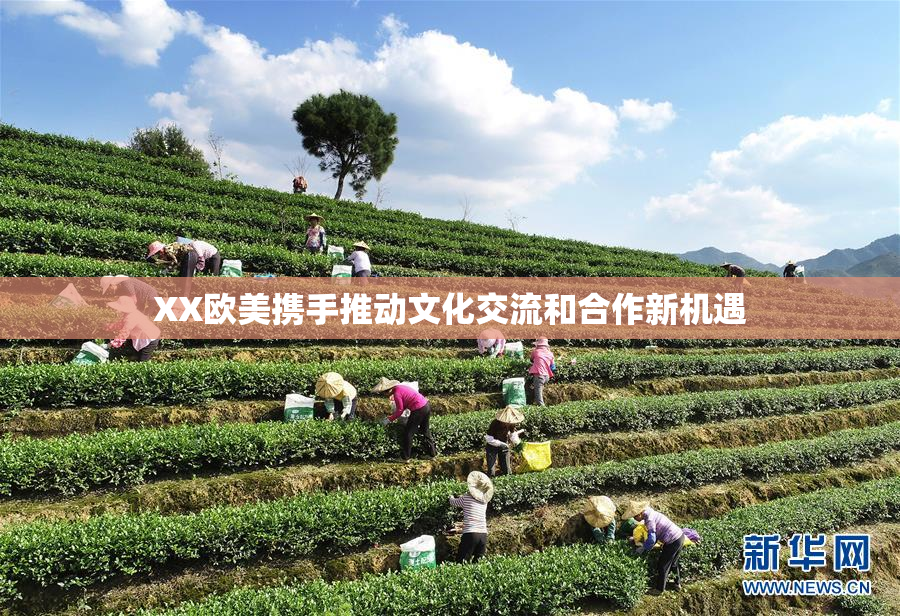 XX欧美携手推动文化交流和合作新机遇