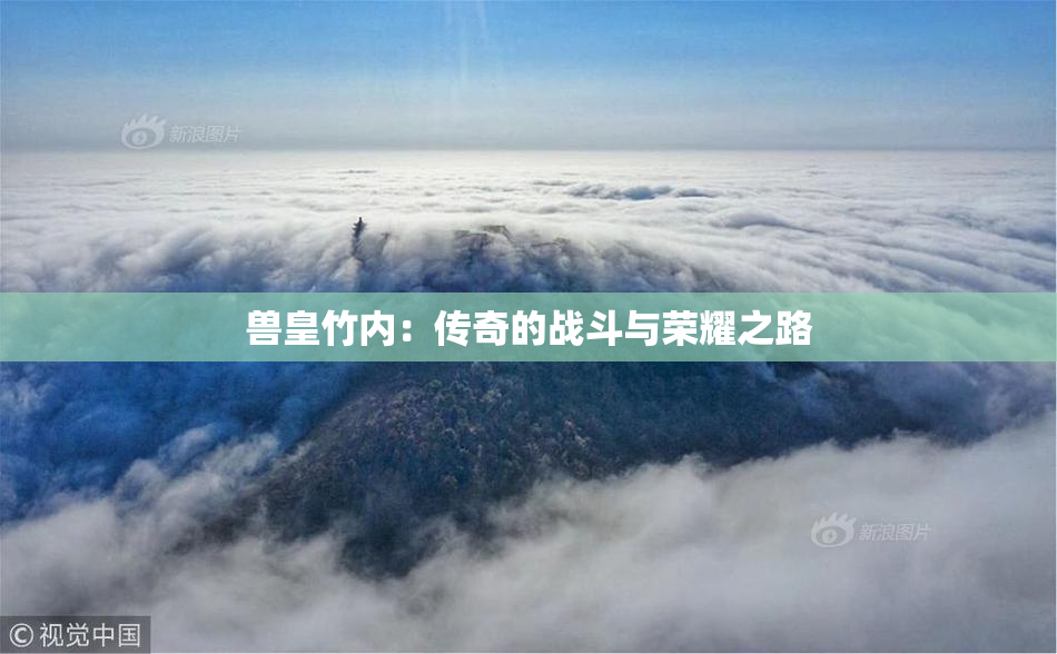 兽皇竹内：传奇的战斗与荣耀之路