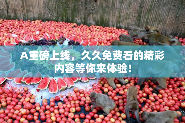 A重磅上线，久久免费看的精彩内容等你来体验！