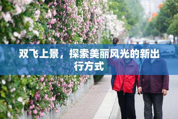 双飞上景，探索美丽风光的新出行方式