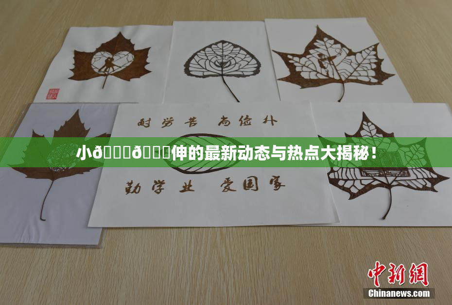 小🐔🐔伸的最新动态与热点大揭秘！
