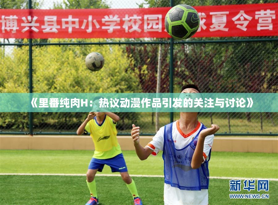 《里番纯肉H：热议动漫作品引发的关注与讨论》