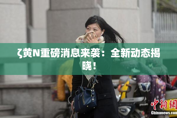 ζ黄Ν重磅消息来袭：全新动态揭晓！