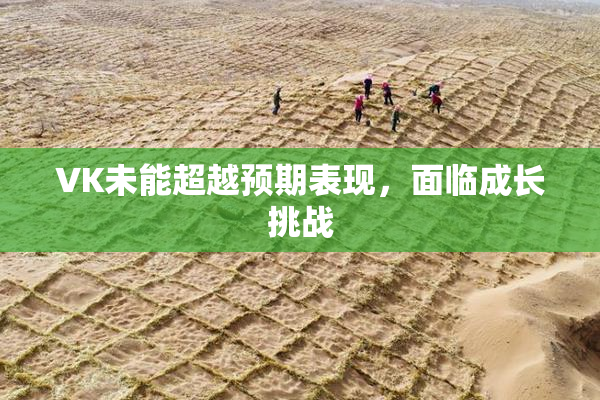 VK未能超越预期表现，面临成长挑战