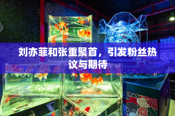 刘亦菲和张重聚首，引发粉丝热议与期待
