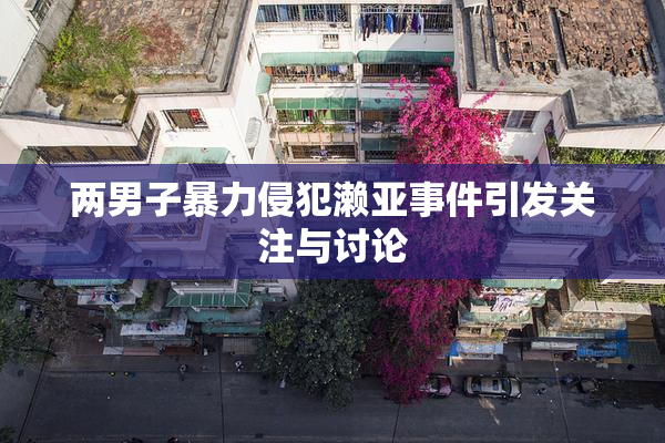 两男子暴力侵犯濑亚事件引发关注与讨论