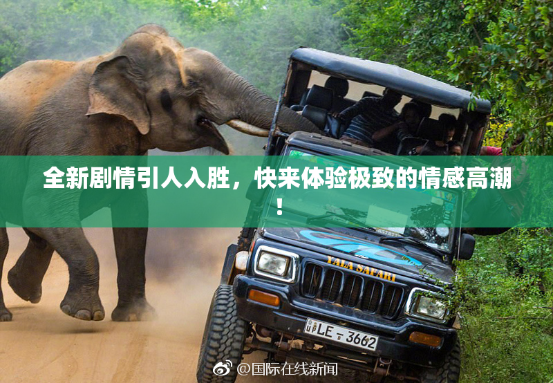 全新剧情引人入胜，快来体验极致的情感高潮！