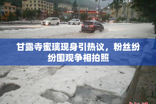 甘露寺蜜璃现身引热议，粉丝纷纷围观争相拍照