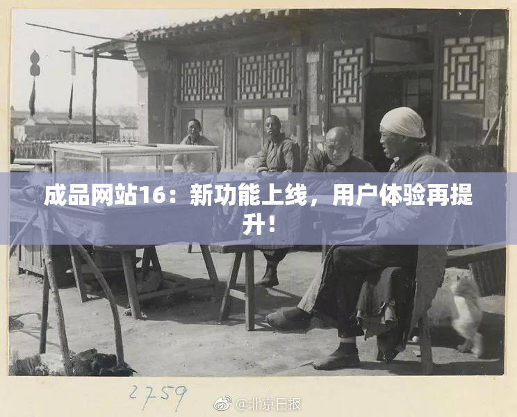 成品网站16：新功能上线，用户体验再提升！