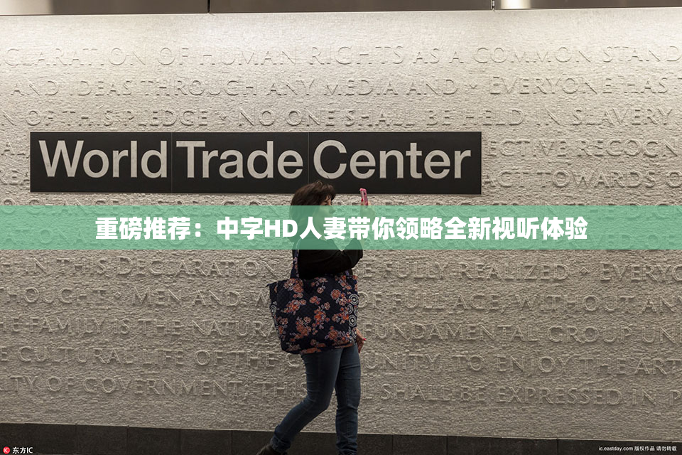 重磅推荐：中字HD人妻带你领略全新视听体验