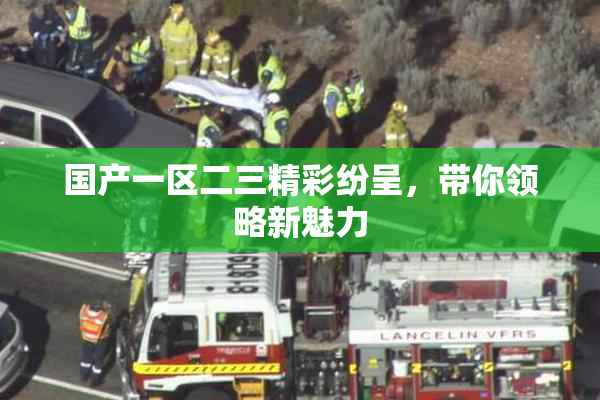 国产一区二三精彩纷呈，带你领略新魅力