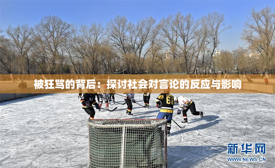 被狂骂的背后：探讨社会对言论的反应与影响