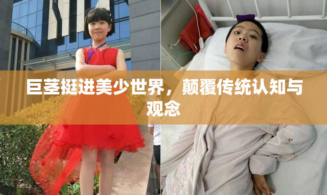 巨茎挺进美少世界，颠覆传统认知与观念
