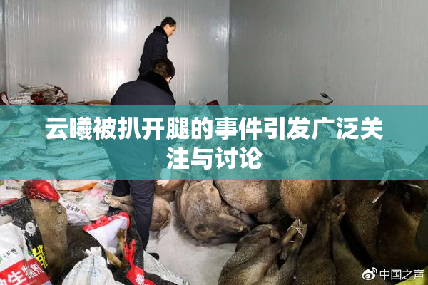 云曦被扒开腿的事件引发广泛关注与讨论