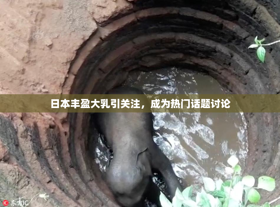 日本丰盈大乳引关注，成为热门话题讨论