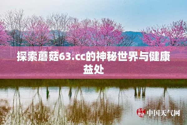 探索蘑菇63.㏄的神秘世界与健康益处