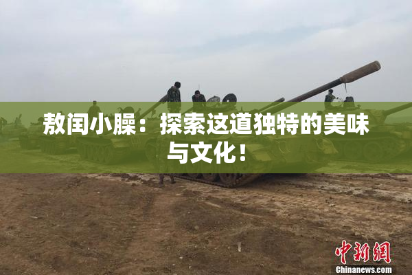 敖闰小臊：探索这道独特的美味与文化！