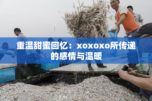 重温甜蜜回忆：xoxoxo所传递的感情与温暖
