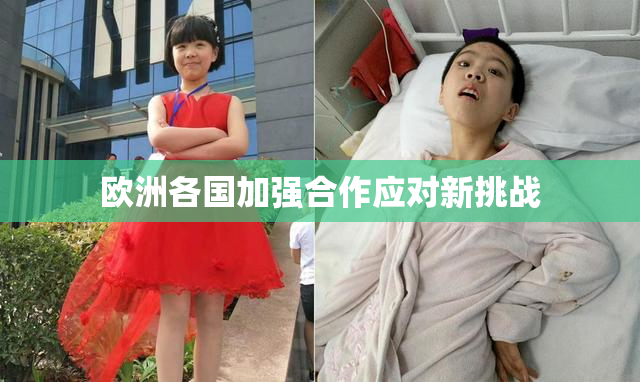 欧洲各国加强合作应对新挑战