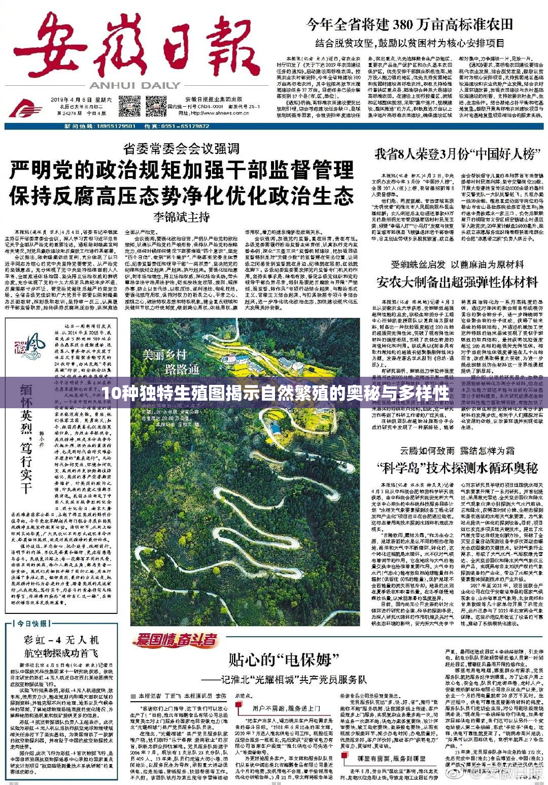 10种独特生殖图揭示自然繁殖的奥秘与多样性