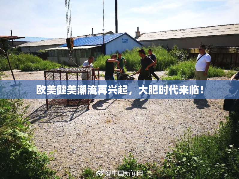 欧美健美潮流再兴起，大肥时代来临！