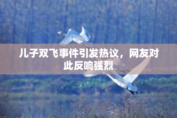 儿子双飞事件引发热议，网友对此反响强烈