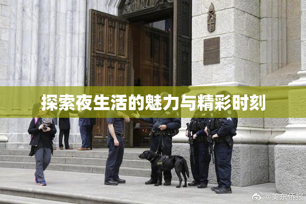探索夜生活的魅力与精彩时刻