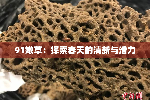 91嫩草：探索春天的清新与活力