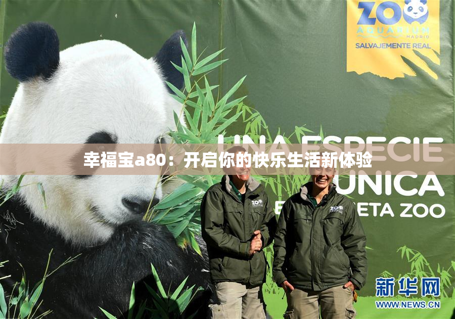 幸福宝a80：开启你的快乐生活新体验