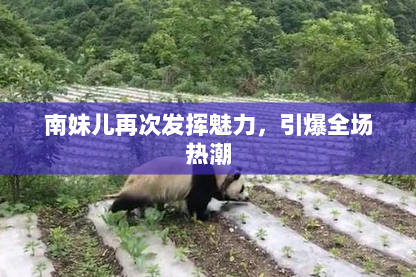南妹儿再次发挥魅力，引爆全场热潮