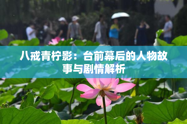 八戒青柠影：台前幕后的人物故事与剧情解析